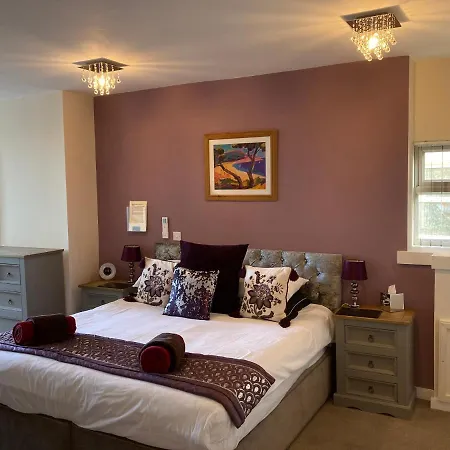 Guest house The Quies 4*
