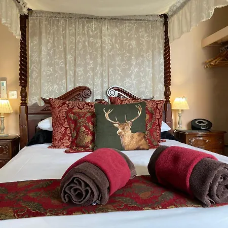 The Quies Guest house Newquay (Cornwall)